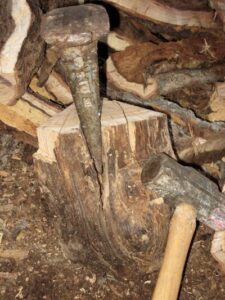 A splitting wedge stuck in a rather gnarly piece of wood.