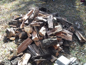 Is Debarking Firewood a Good Idea? – For Firewood