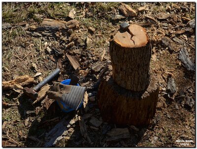 A wood round being split with a help of a wedge; in the background, you can see a lot of bark in result of splitting.
